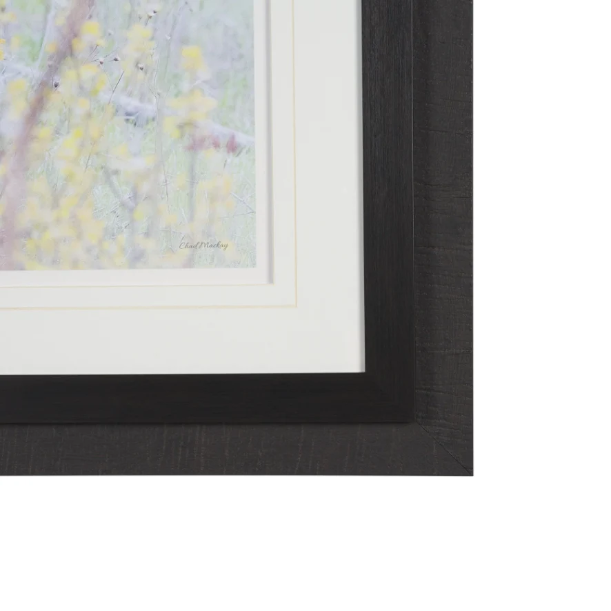 A Watchful Bond Wall Art - Image 7