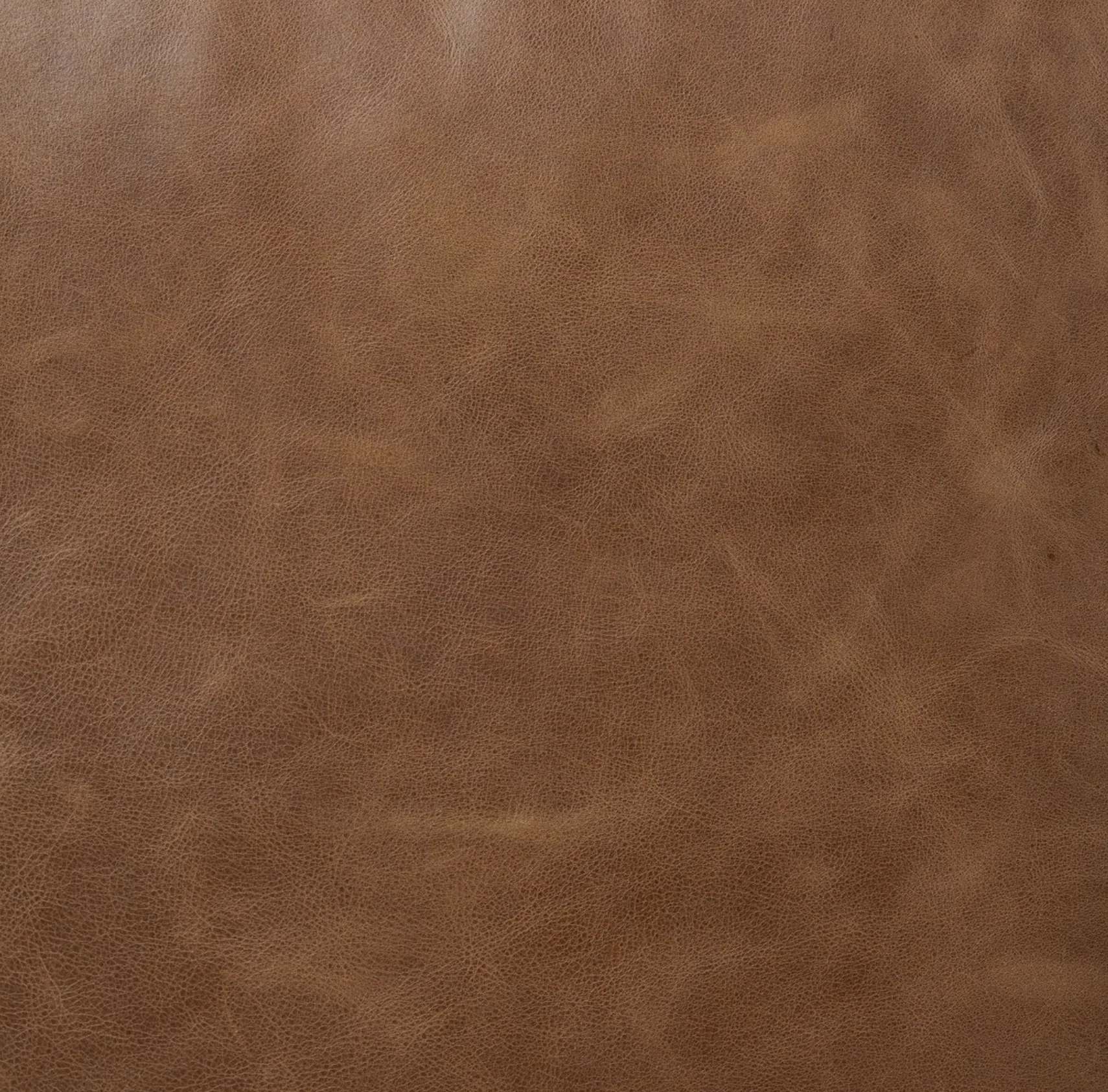 Amber Lewis x Four Hands Warren Chair - Image 12
