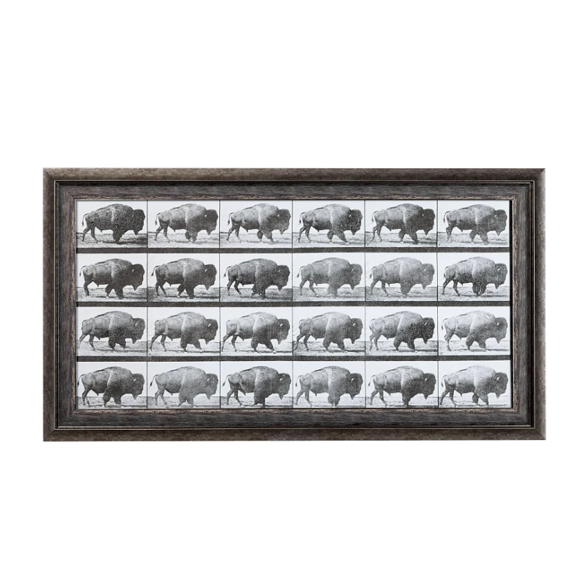 Animal Negatives Framed Artwork