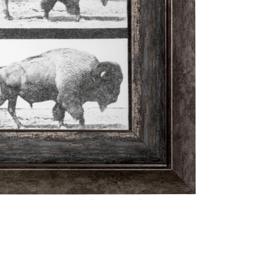 Animal Negatives Framed Artwork - Image 6