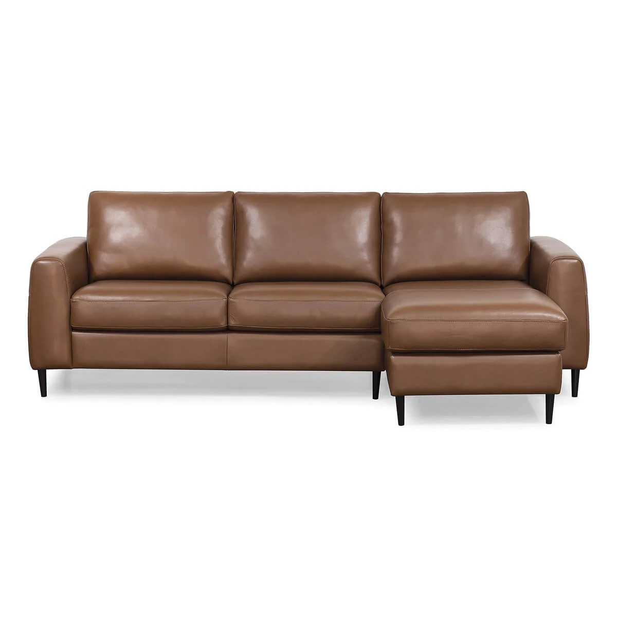 Atticus Leather Sectional