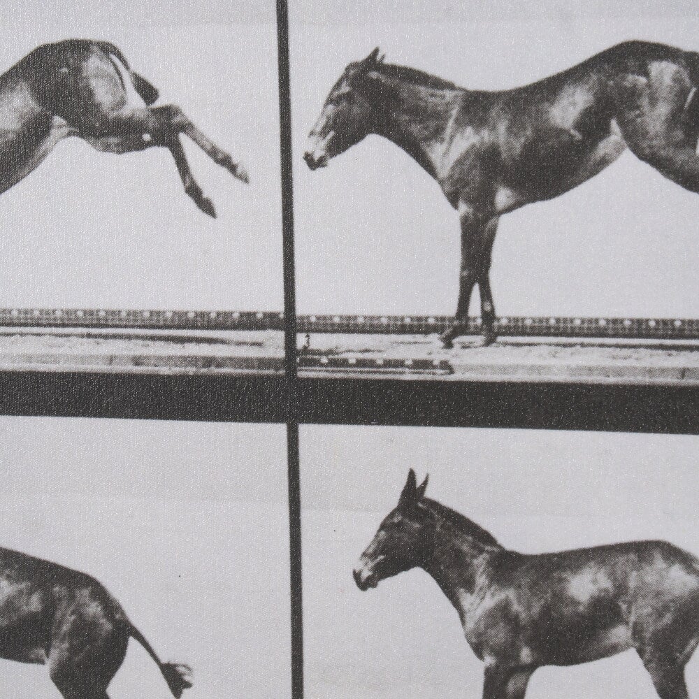 Bucking and Kicking Wall Art - Image 4