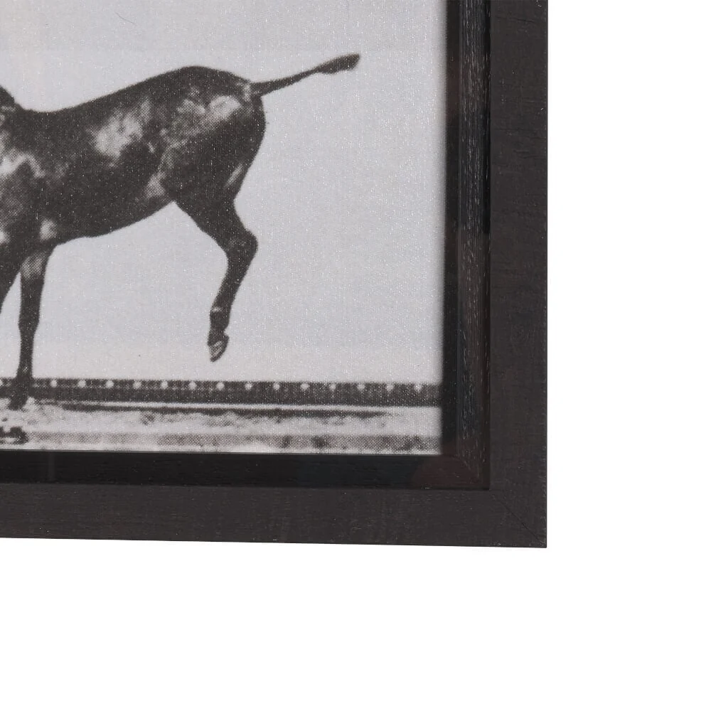 Bucking and Kicking Wall Art - Image 5