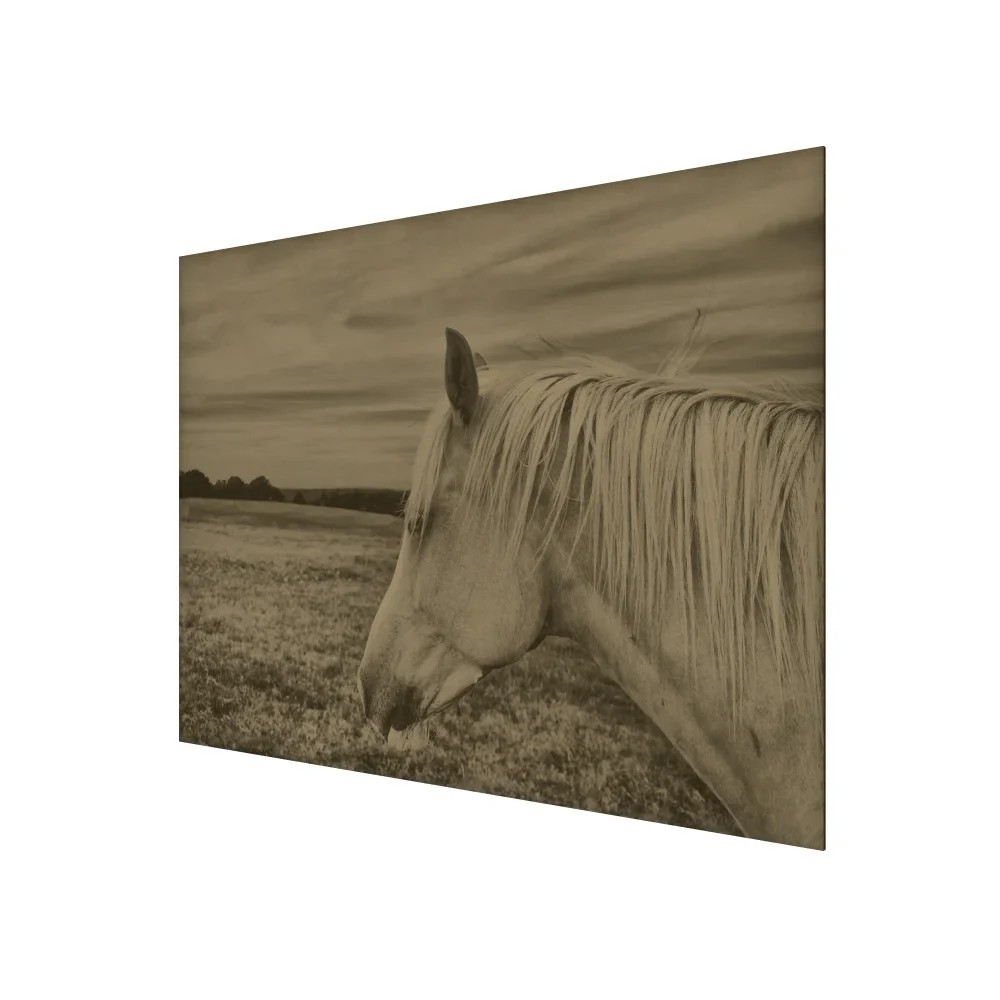 Horse in a Field Artwork in Ash Frame - Image 2