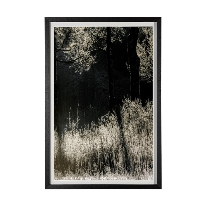 Tranquil Symmetry Framed Art Print - Image 2